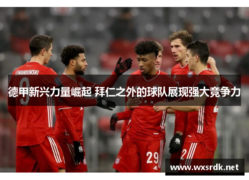 德甲新兴力量崛起 拜仁之外的球队展现强大竞争力