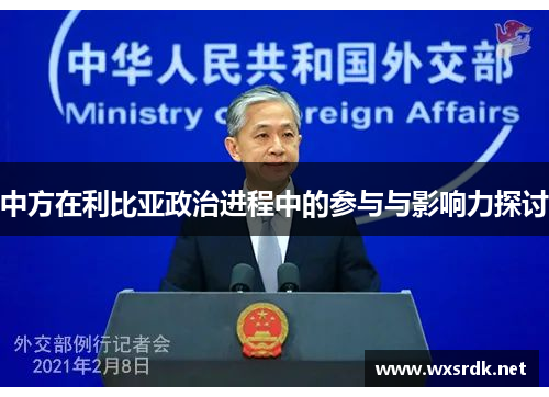 中方在利比亚政治进程中的参与与影响力探讨