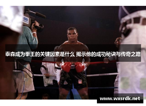 泰森成为拳王的关键因素是什么 揭示他的成功秘诀与传奇之路